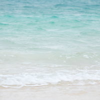 ノートパソコンでPHPコーディングの写真