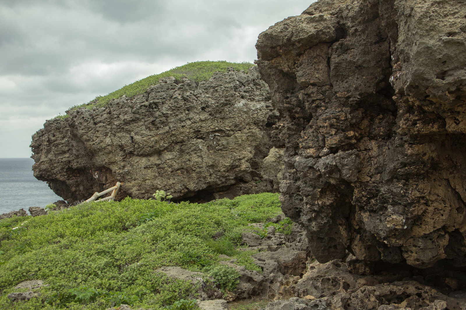 曇り空の下、緑の草が生える海岸沿いのゴツゴツした岩場