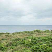 曇り空に浮かぶ緑の島と海岸線の自然風景の写真