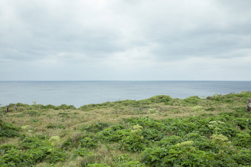 曇り空に浮かぶ緑の島と海岸線の自然風景