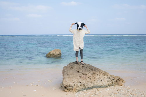 宮古島の透き通る海を見てうかれる牛の彼女
