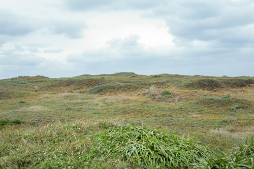 生い茂る丘の緑の草原～起伏のある野原と自然風景～