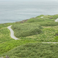 宮古島の東平安名崎岬を蛇行する緑の遊歩道の写真