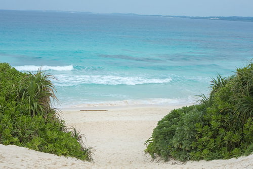 宮古島の砂山ビーチへ向かう緑に囲まれた小径