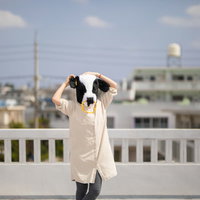 晴れたので屋上からお送りします（エト牛）青空と市街地を背景に笑顔の写真