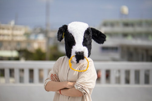 屋上で説教する怒った牛のキャラクターが腕を組む