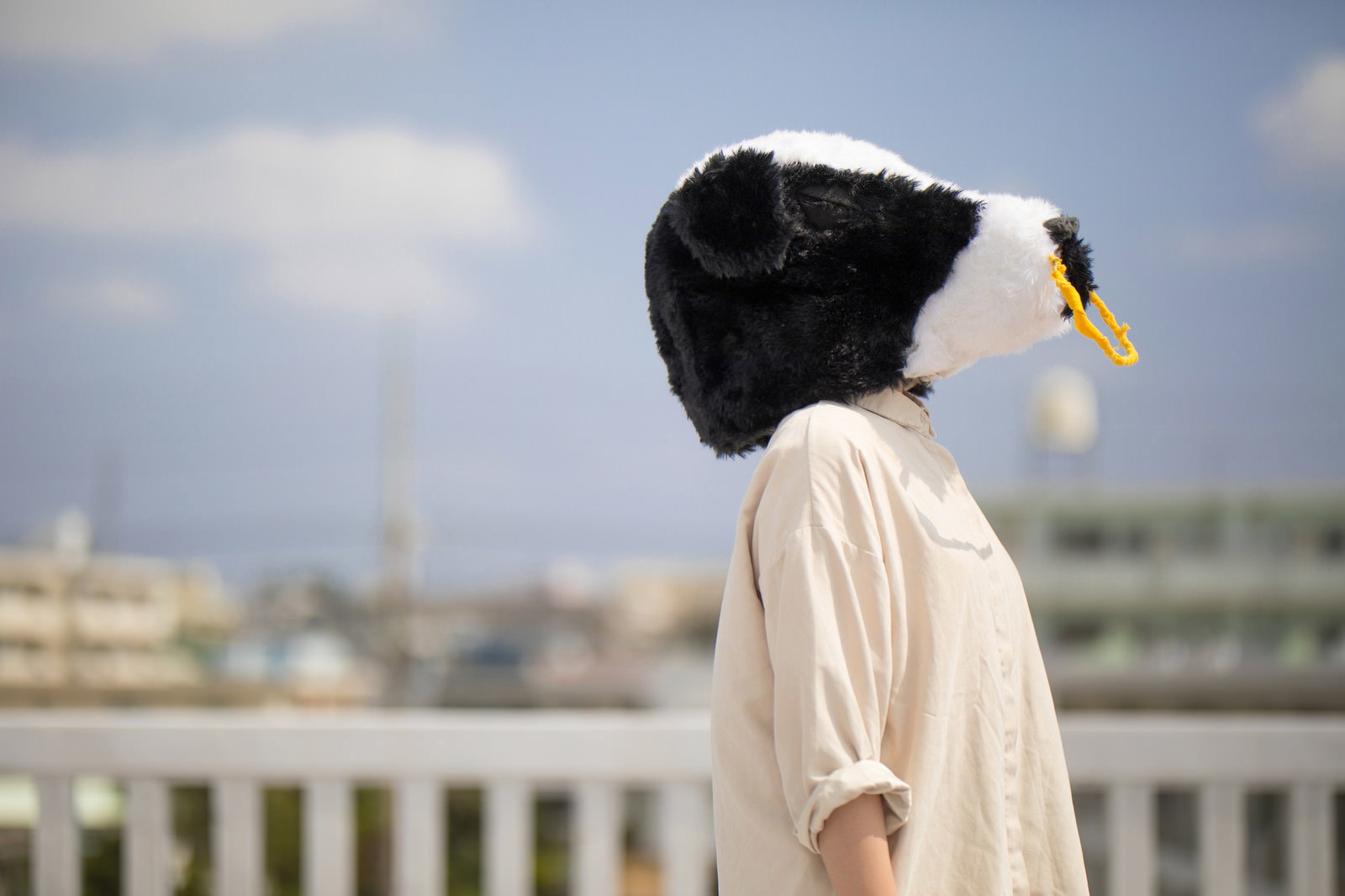 エト牛のかぶりものをした人物が屋上で横を向く［モデル：古性のっち］
