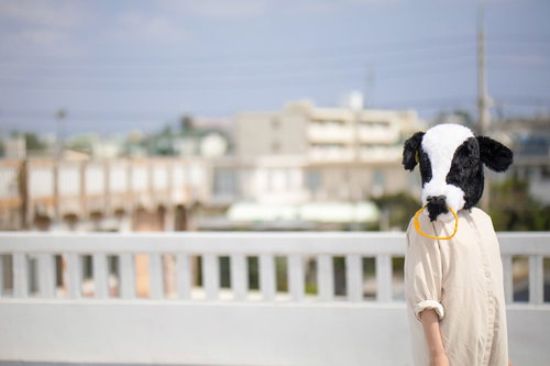 屋上で立つ哀愁漂う牛人間のコスプレ