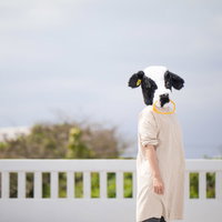 声をかけたら睨みつけられた牛の着ぐるみを着た人物の写真