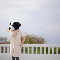 肩こりが年々ひどくなる牛社員、疲労と運動不足で悩むの写真