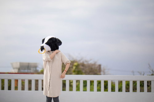 肩こりが年々ひどくなる牛社員、疲労と運動不足で悩む