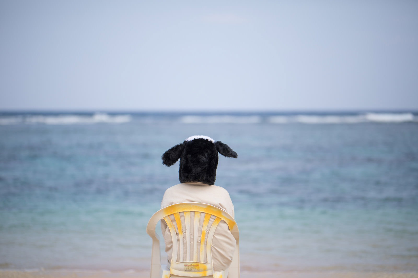 宮古島の海を眺める椅子に座った犬の後ろ姿［モデル：古性のっち］