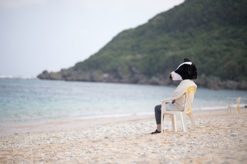 告白タイムで誰からも声がかからないことに苛立つ宮古島の牛さん