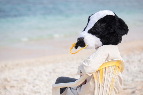 潮風が気持ちよくて動きたくない牛人間が宮古島の浜辺で椅子に座る