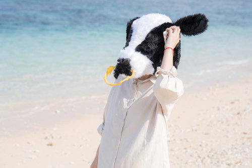 もしもし牛です！