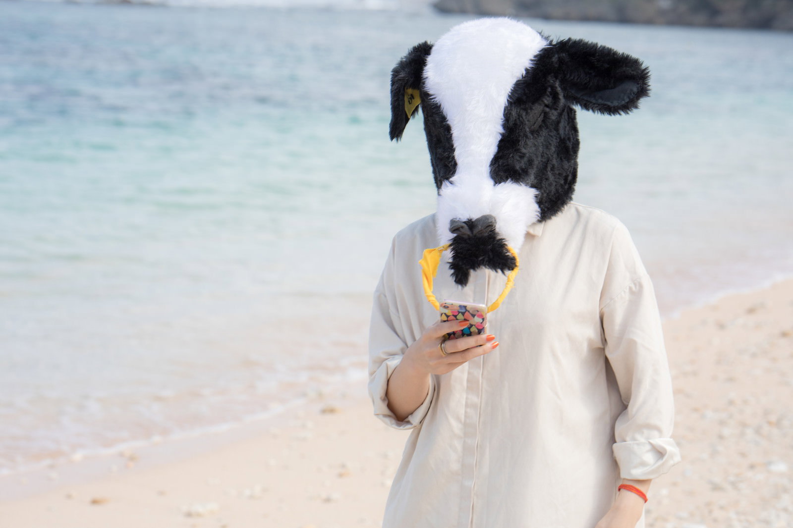 牛の着ぐるみ姿でビーチに立つ人物の後ろ姿［モデル：古性のっち］