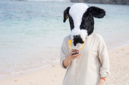 ぼっちバカンスでインスタ映えする牛ガール
