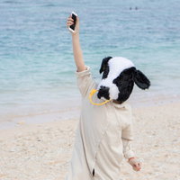 ここにスマホがあるぞー！の写真