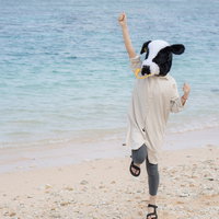 宮古島の砂浜で元気いっぱいの牛ガール、笑顔でポーズの写真