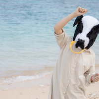 南の島で元気になる牛ガール、白いワンピースで砂浜を踊るの写真