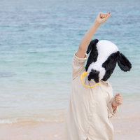 宮古島の宮古ブルーの海で喜ぶ牛人間のビーチショットの写真