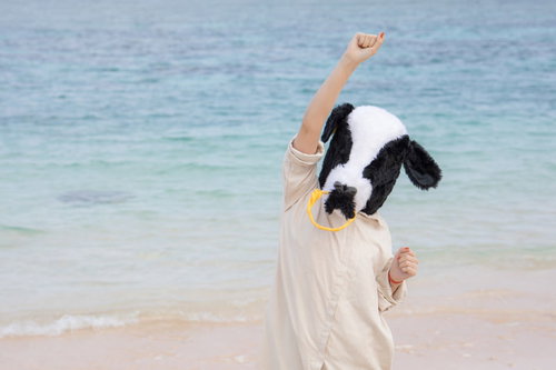 宮古島の宮古ブルーの海で喜ぶ牛人間のビーチショット