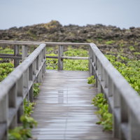 宮古島の岩場を縫う木道の遊歩道の写真