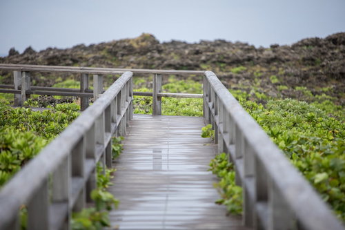 宮古島の岩場を縫う木道の遊歩道