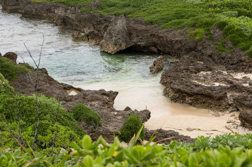宮古島の岩石海岸と沿岸植物の風景、白い砂浜と透明な海