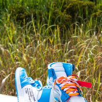 AIR JORDAN 1のコラボスニーカーを芝生の上に置いたの写真
