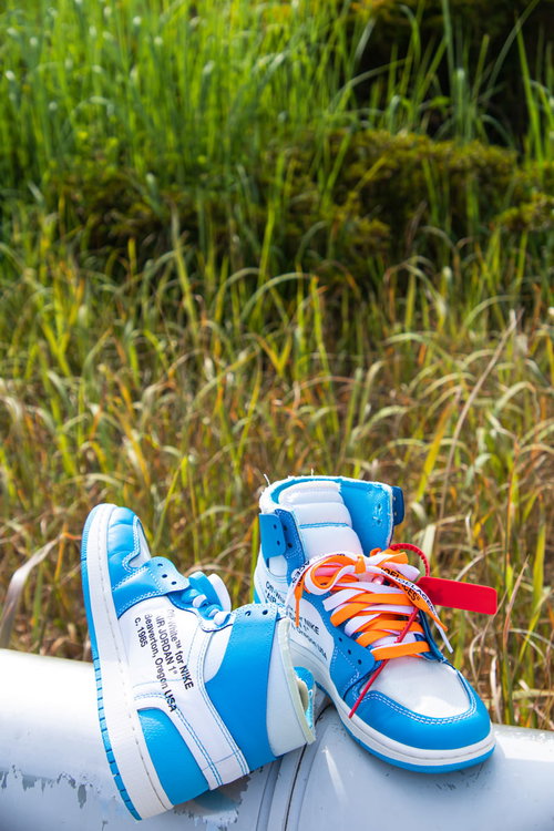 AIR JORDAN 1のコラボスニーカーを芝生の上に置いた