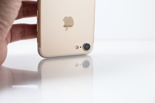 スマホカメラを下に向けた状態から撮影する通称「すれすれ」は小動物の視点になる