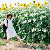 ひまわり畑で麦わら帽をかぶってはしゃぐ白いワンピースの女性の写真
