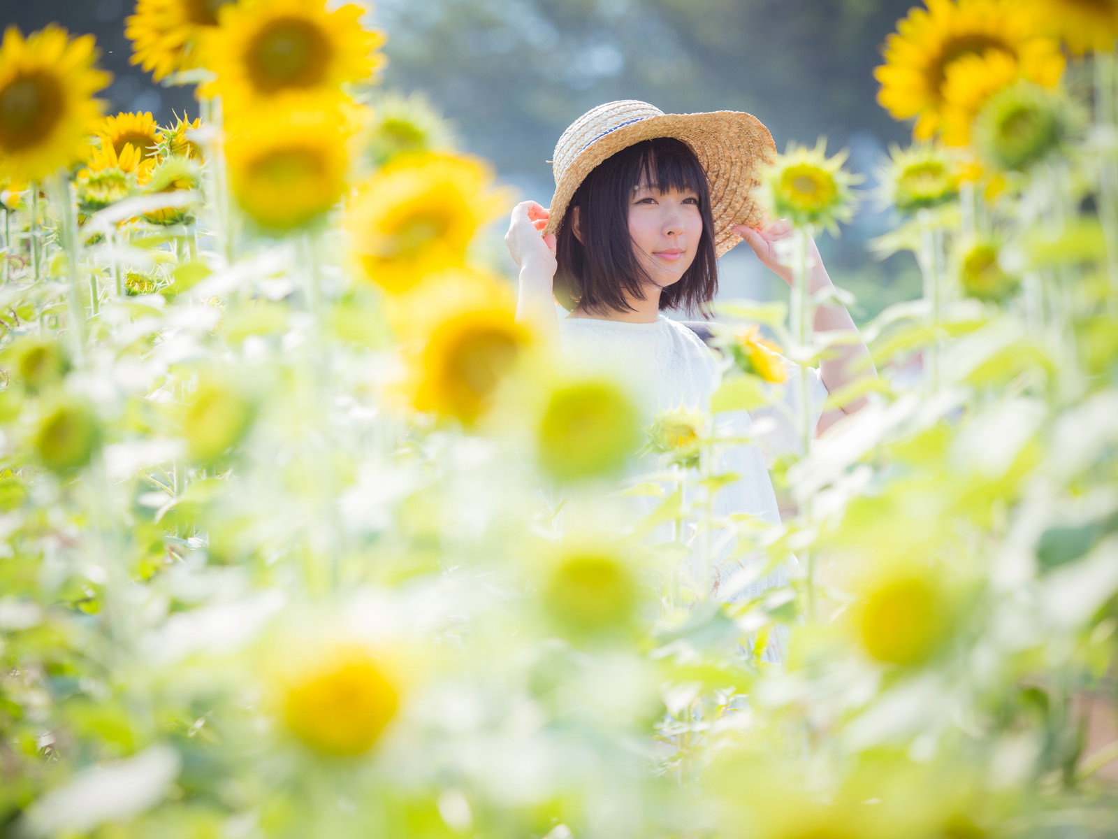 ひまわり畑で上を向く麦わら帽の女性［モデル：にゃるる］