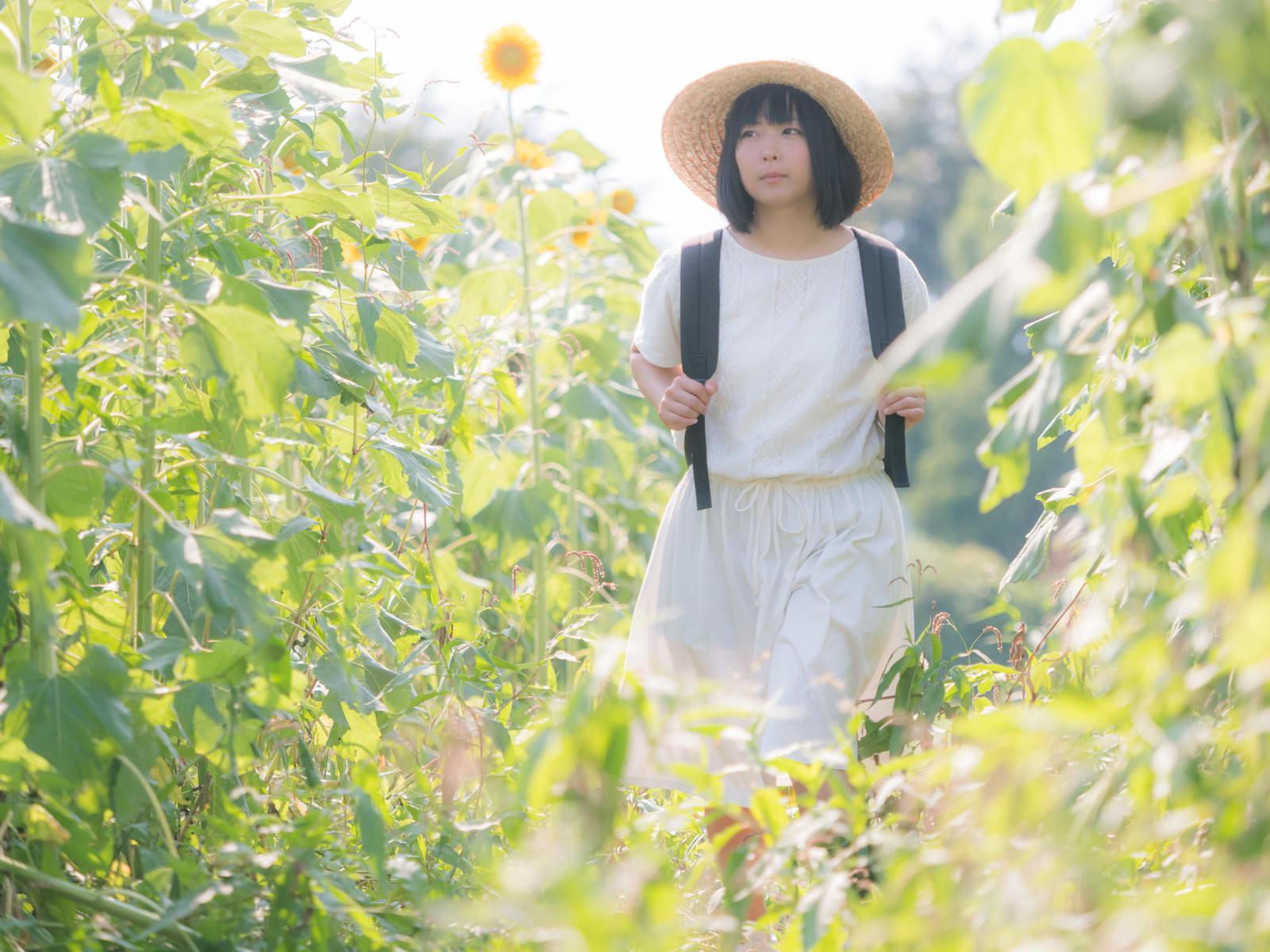 ひまわり畑を歩く麦わら帽の女性［モデル：にゃるる］