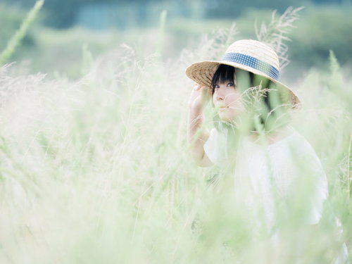 草原に隠れる麦わら帽をかぶった女性のかくれんぼ