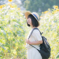 ひまわり畑でリュックを背負う麦わら帽姿の女性の写真