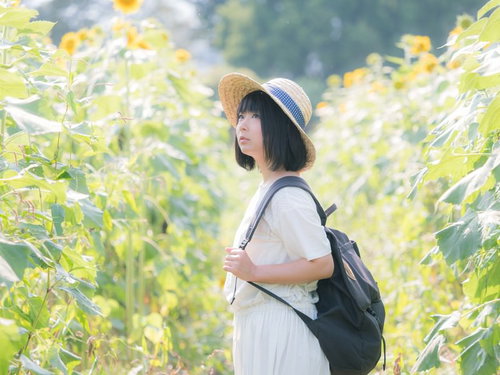 ひまわり畑でリュックを背負う麦わら帽姿の女性
