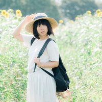 ひまわり畑で麦わら帽をかぶる女性の夏の散歩の写真