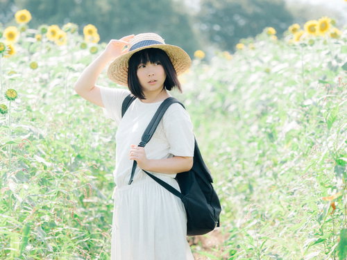 ひまわり畑で麦わら帽をかぶる女性の夏の散歩