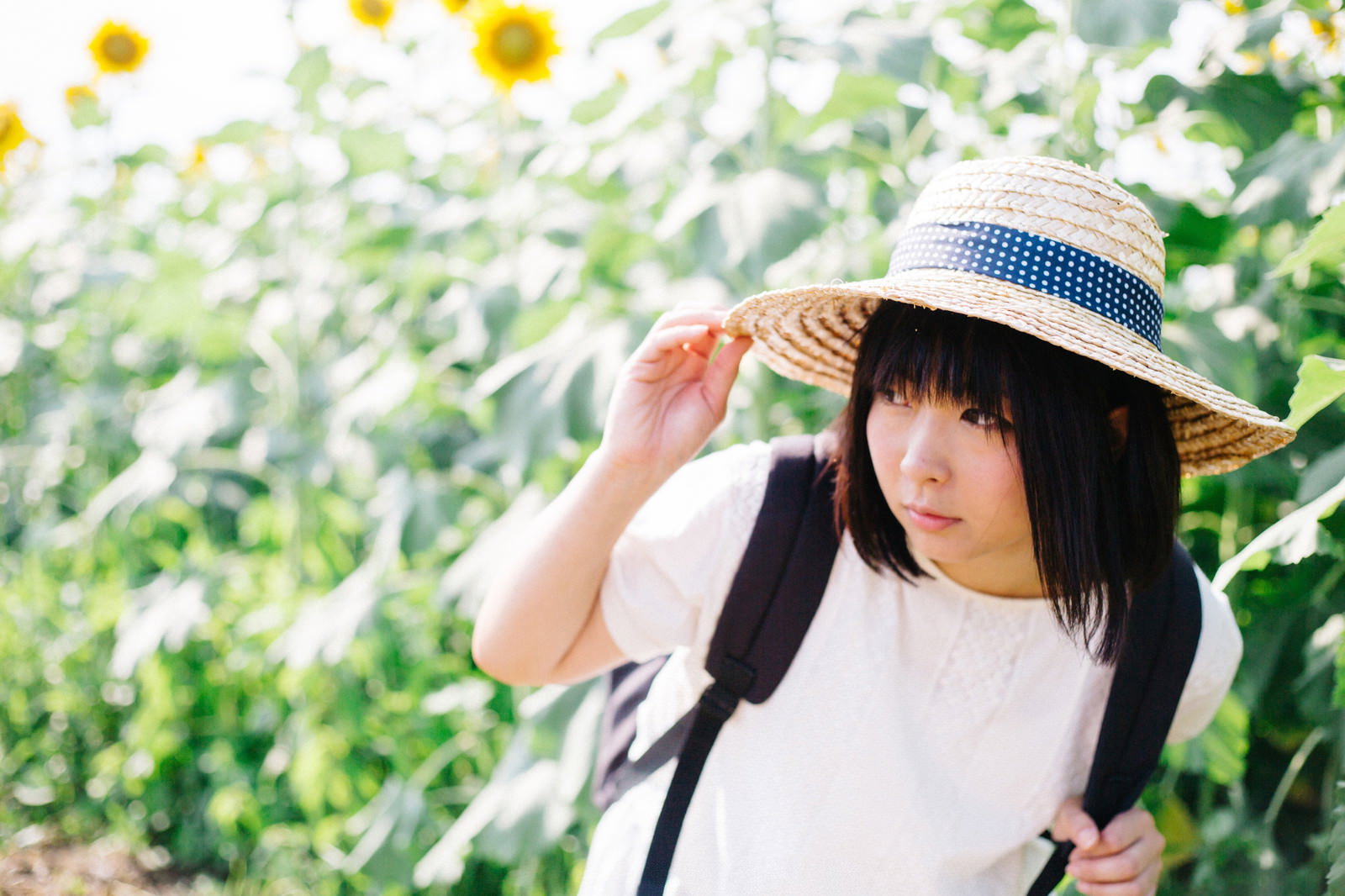 ひまわり畑で麦わら帽を押さえる女性［モデル：にゃるる］