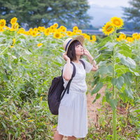 ひまわり畑で麦わら帽をかぶって見上げる女子の写真