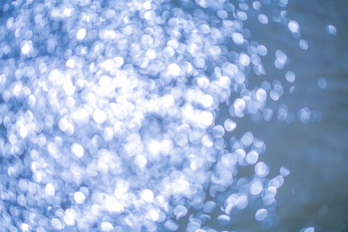 ラベンダー畑に広がる朝露のクモの巣