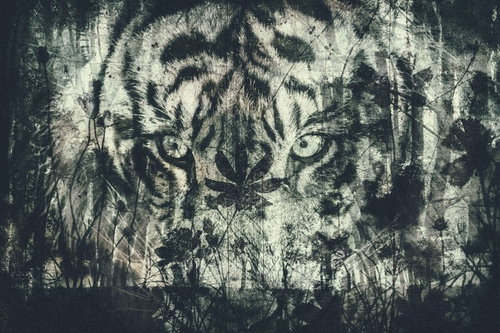 森に浮かぶタイガーのフォトモンタージュ作品