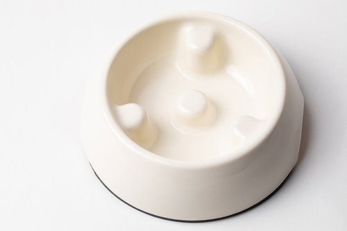 白いプラスチック製のペット用早食い防止ボウル