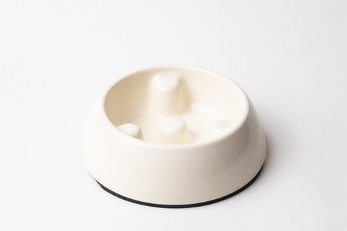白いプラスチック製の食い防止ボウル（犬用食器）