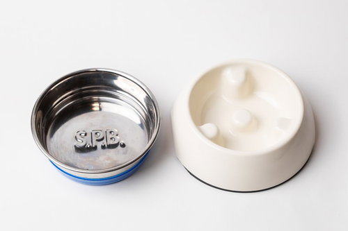 早食い防止用ボウルと通常のボウルを比較するペット用食器