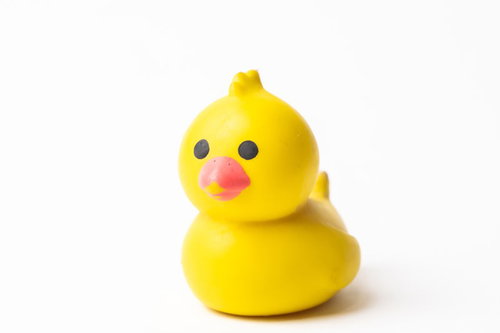 白い背景に置かれた黄色いアヒルの犬用おもちゃ