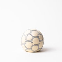 白い背景に置かれたサッカーボール型のペット用おもちゃの写真