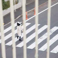 スクープ！横断歩道を渡るエト牛、白いコート姿で交通安全PRの写真